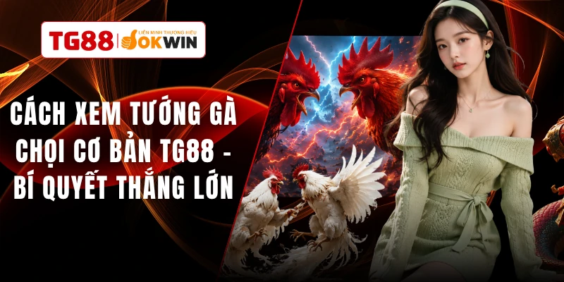 Cách Xem Tướng Gà Chọi Cơ Bản TG88 - Bí Quyết Thắng Lớn